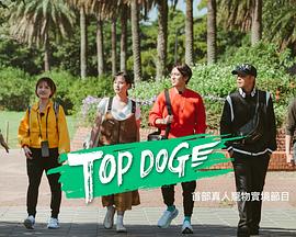 91麻豆视频《TOP DOG》免费在线观看