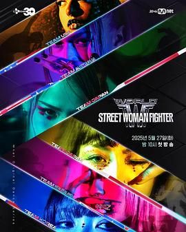 91麻豆视频《世界街头女斗士3》免费在线观看