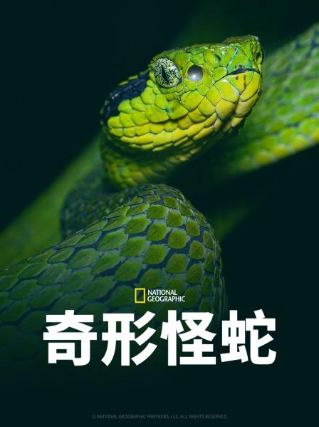 91黑料《奇形怪蛇》免费在线观看